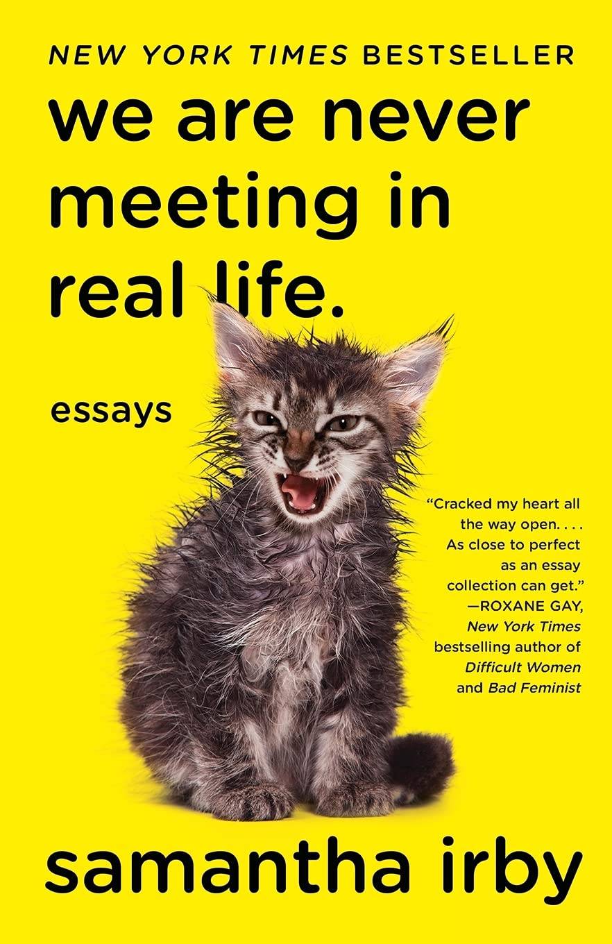 "We are never meeting in real life" book cover featuring a yellow background with a picture of wet kitten snarling.